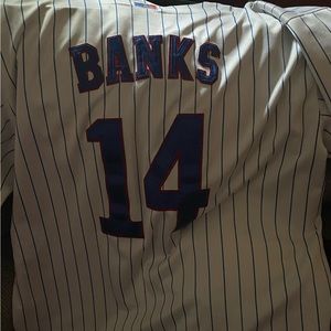 Great Ernie Banks! Only couple wears to Wrigley and has no stain etc!